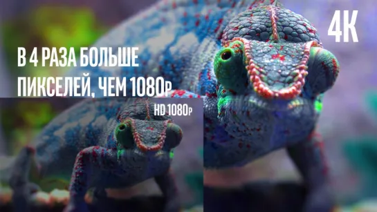 4K на базе технологий Intel®