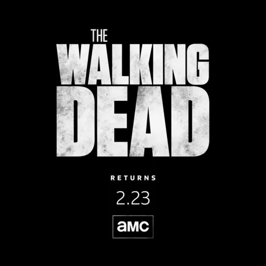 The Walking Dead 10x09 Teaser