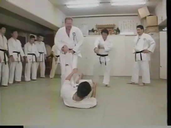 Kaichô Jon Bluming, Kyokushin-Budokaï.