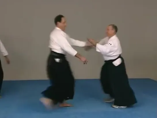 Aikido Lécole Kobayashi Ryu .