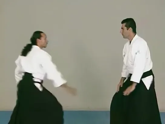 Aïkido Do Kisei Dojo. Les techniques de Steven Seagal.