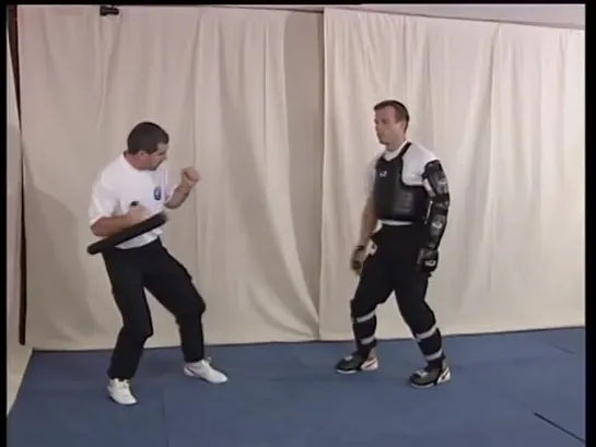 Techniques Professionnelles De Tonfa .