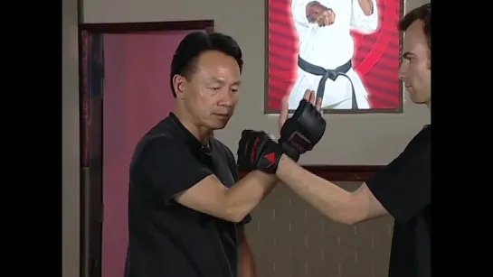 Wing Chun. Close Range Sticky Hand Intro And Progressions To Phases