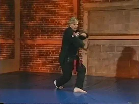 American Kenpo Long 8 .