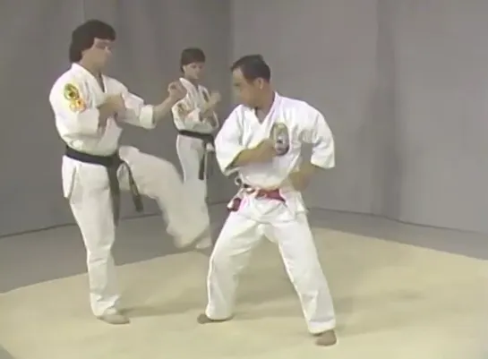 Isshin Ryu Karate Fundamentals . Angi Uezu .