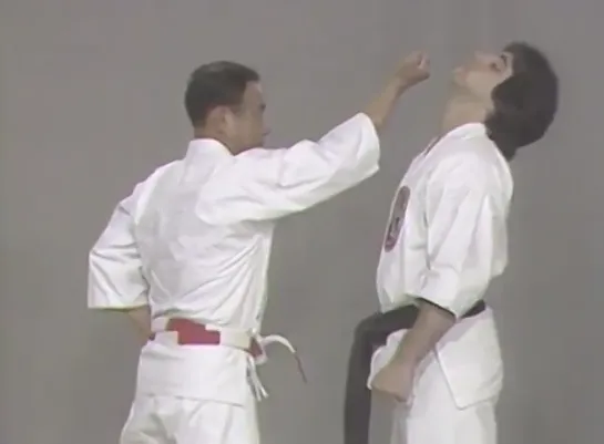 Isshin Ryu (Vol 1) Karate Fundamentals,  Angi Uezu .