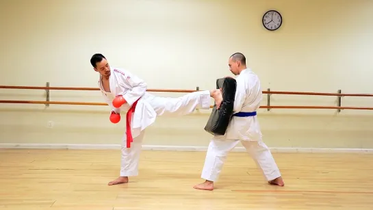 USHIRO GERI TUTORIAL (Spinning Back Kick).