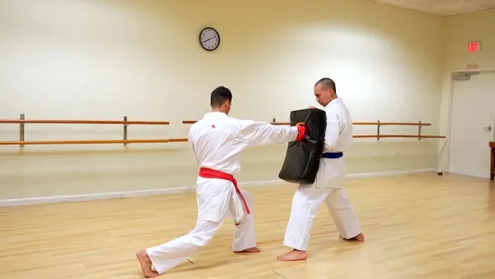 GYAKU ZUKI  . KUMITE TECHNIQUES .