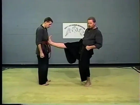 Aiki Combat Jujitsu . Jump Kicks.