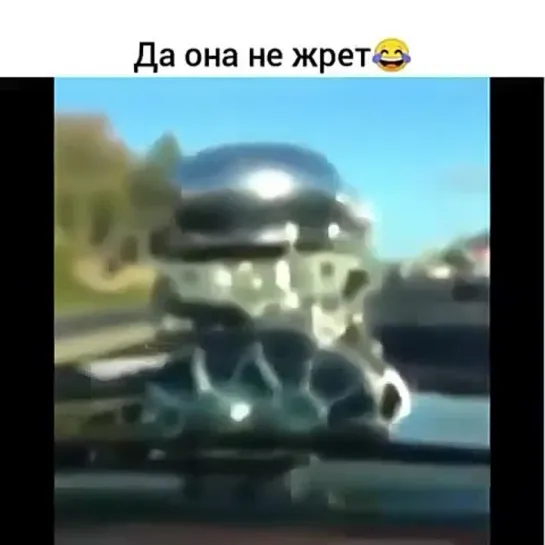 Жесть