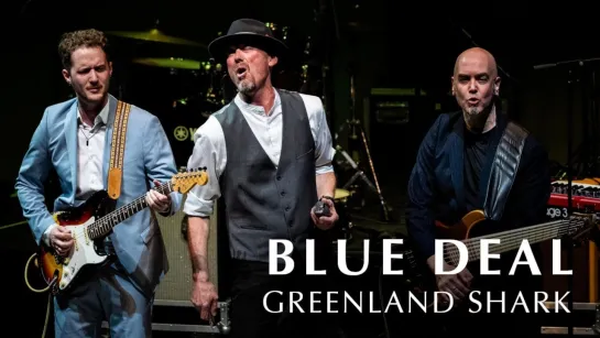 Blue Deal - "Greenland Shark" (Live in Braga 2024)