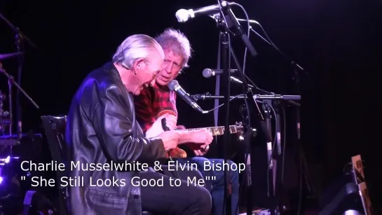 Charlie Musselwhite & Elvin Bishop - "She Still Looks Good to Me" live (2015)