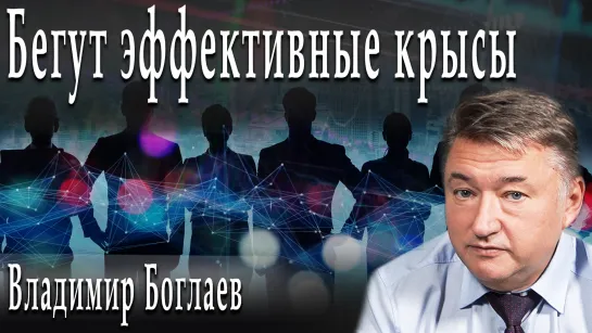 Бегут эффективные крысы #ВладимирБоглаев #ИгорьГончаров