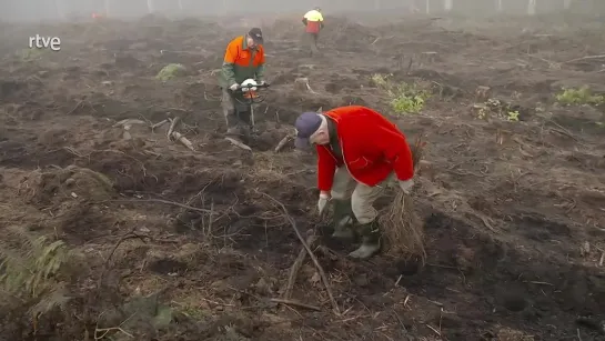 Somos documentales - El viento, motor del cambio climático