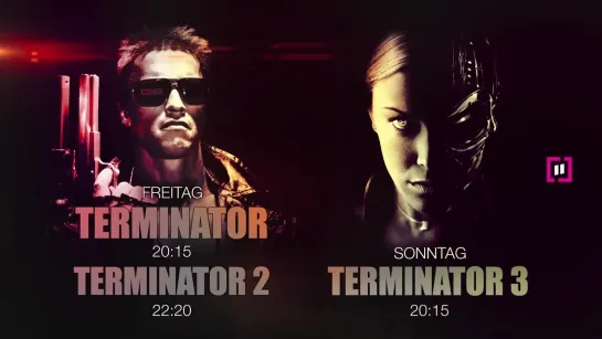 Kombitrailer Terminator 1-3