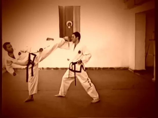 Taekwondo Step Sparring