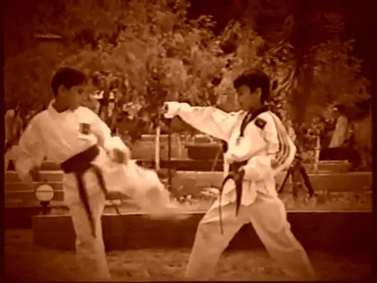 Taekwondo Step Sparring