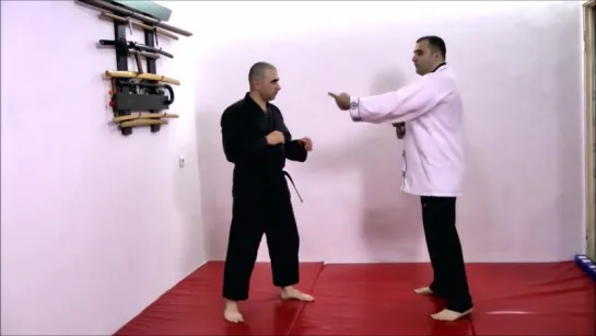 #Хапкидо. Блоки и парирования.#Hapkido blocks.#합기도