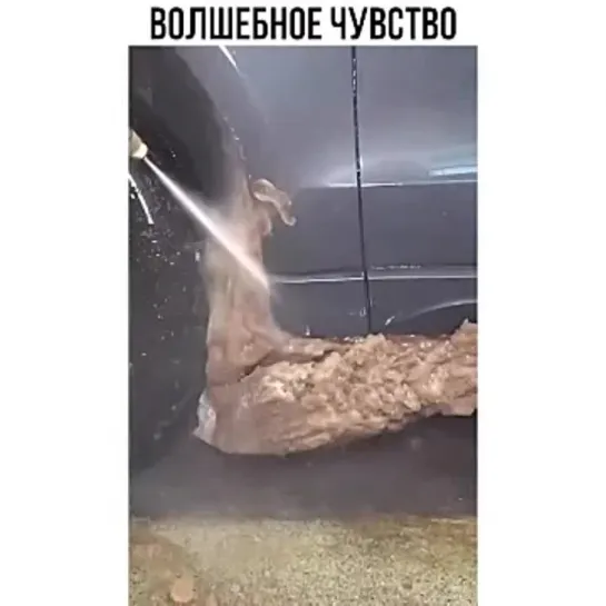 Video by AUTO