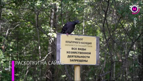 Мегаполис – Раскопки на Сайме – Сургут