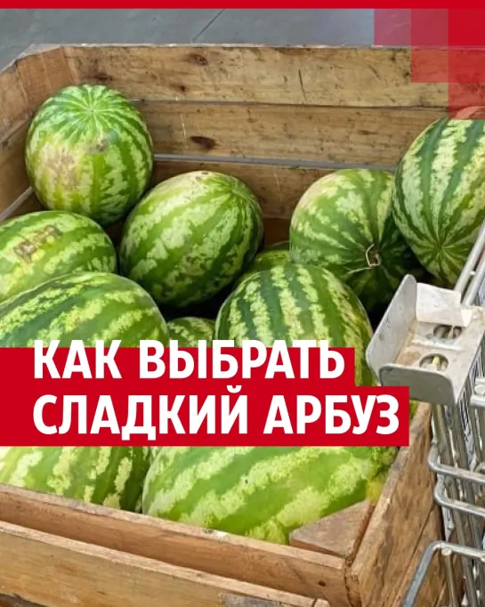 Как выбрать спелый арбуз