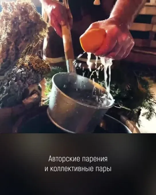 Камыши