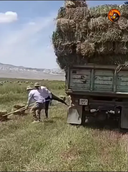 Всегда надо соблюдать технику безопасности, иначе будет такое.