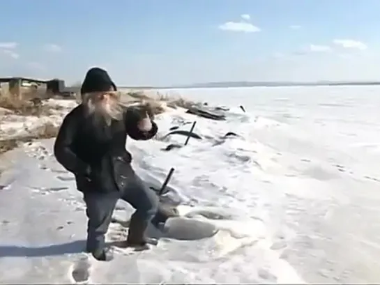 Лев Толстой встречает гостей в Ясной Поляне.