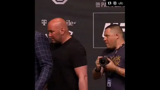 UFC 226