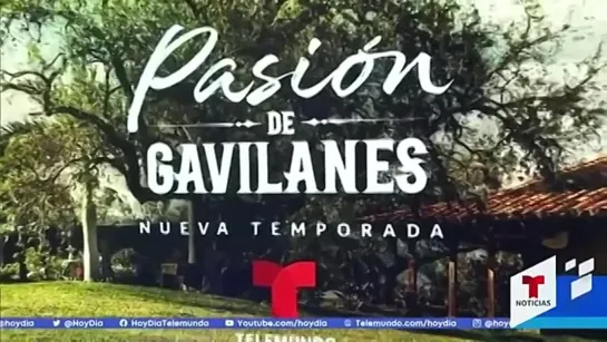 Así fue la premier de ‘Pasión de Gavilanes’ - hoyDía - Telemundo 7.02.2022