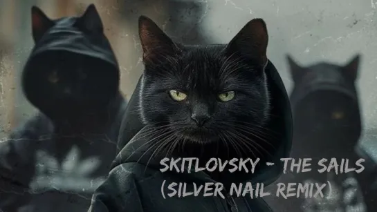 SKITLOVSKY - Паруса (Silver Nail Remix) Video