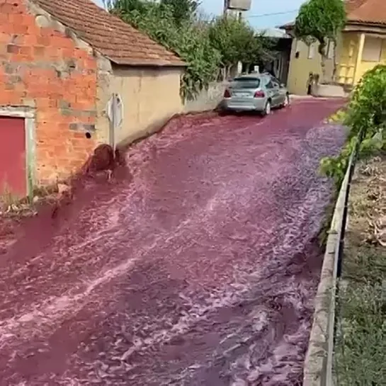 Река из красного вина в Испании 🌿