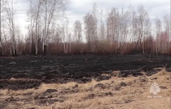 Дотушивание пожаров в Курганской области 🧯