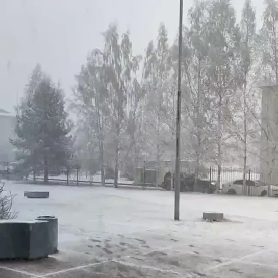 Погода в мае в Санкт-Петербурге  🌨