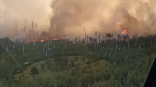 Крупный пожар в Рязанской области❗️