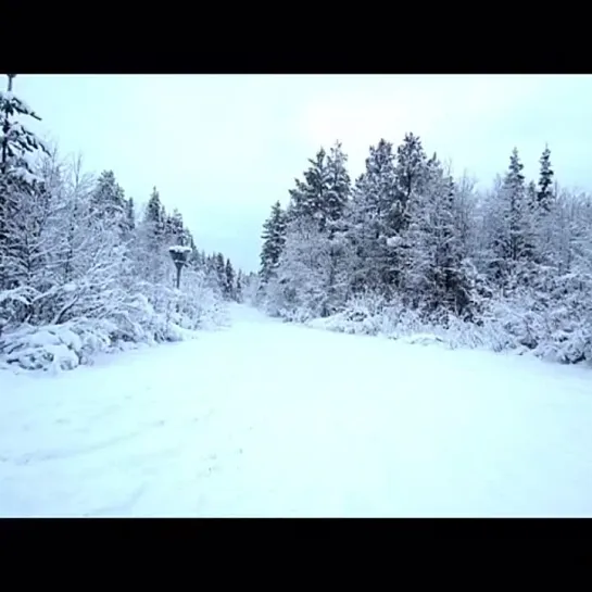 Прощание с Севером