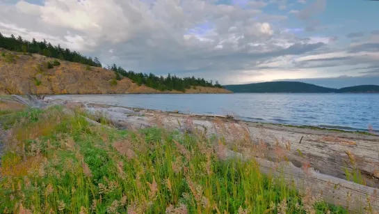 Lopez Island, 4K (UHD) Relaxation Video Nature Sounds - Stress Relief Video (3 hours)