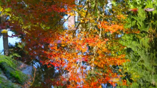 Japanese Garden 4K resolution - 1 hour  - Nature Sound for Relaxation - Autumn