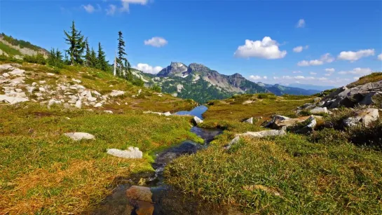 (3 hours) 4K UHD Relaxation video Mount Rainier National Park Washington State, Nature Sounds - 1