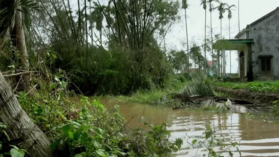 Suong Mu Tren Dinh Nui, Bao to Noi Dong Bang (Siu Pham, 2015)