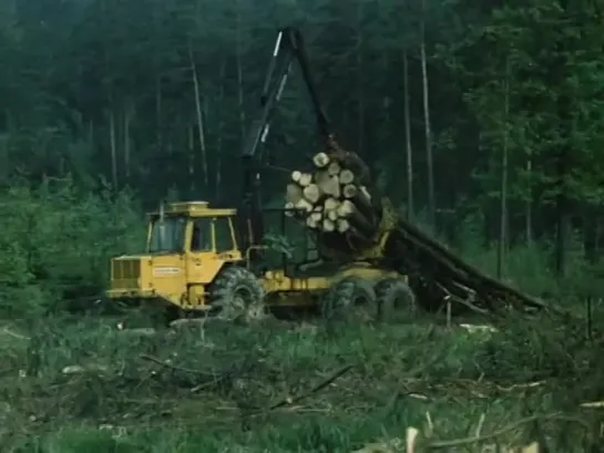 Posledni z rodu (Drahomira Vihanova, 1977)