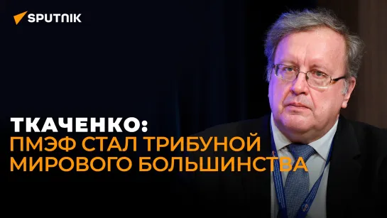 Экономист Ткаченко о новой роли ПМЭФ, экономических планах России и предупреждении для Запада