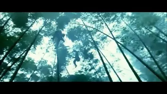 House of Flying Daggers - Bamboo forest fight