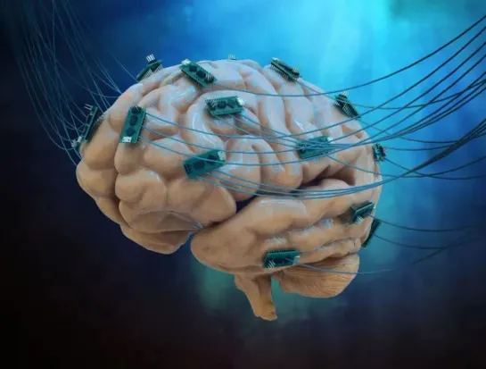 Neuralink начнет тестирование мозговых чипов на людях через шесть месяцев