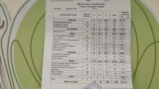 Детский сад в РОССИИ -  РАЙ для детей. Из Германии в Россию. Тюмень.1ЧАСТЬ