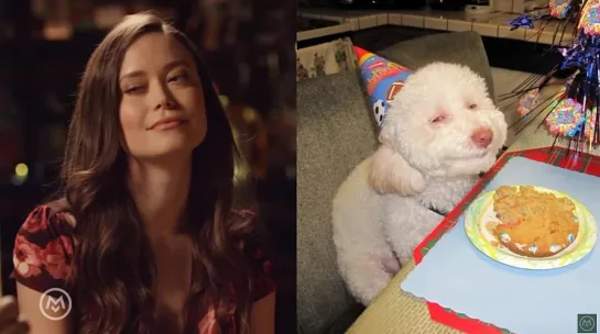 Summer Glau Imitates Popular Animal Memes - Speakeasy (Яндекс перевод)