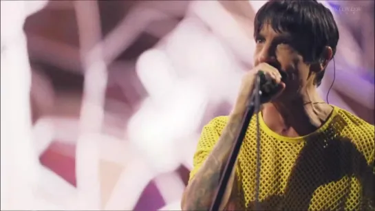 RED HOT CHILI PEPPERS -LIVE AT TOKYO DOME 2023-