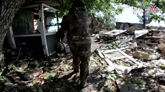 Новости. Российские военные показали уничтоженных бойцов ВСУ под Клещеевкой