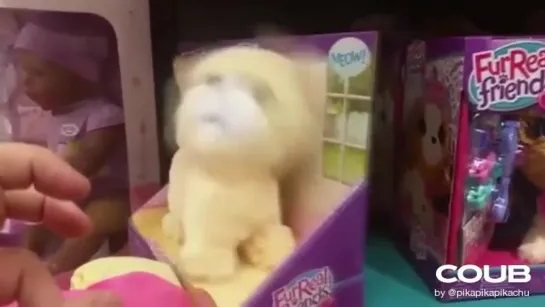 Cute kitty toy