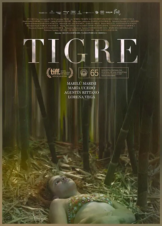 Tigre (2017) by Ulises Porra (as Ulises Porra Guardiola) and Silvina Schnicer